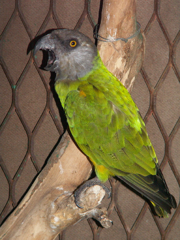 image101