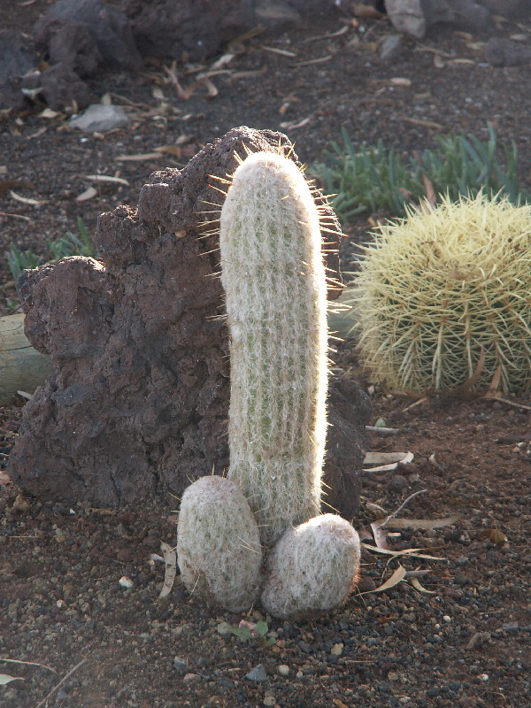 image48