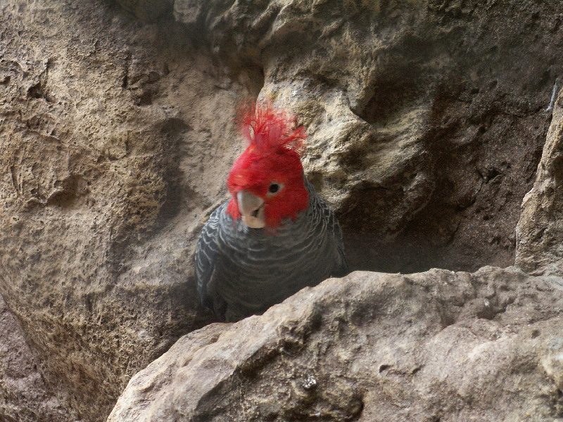 image78