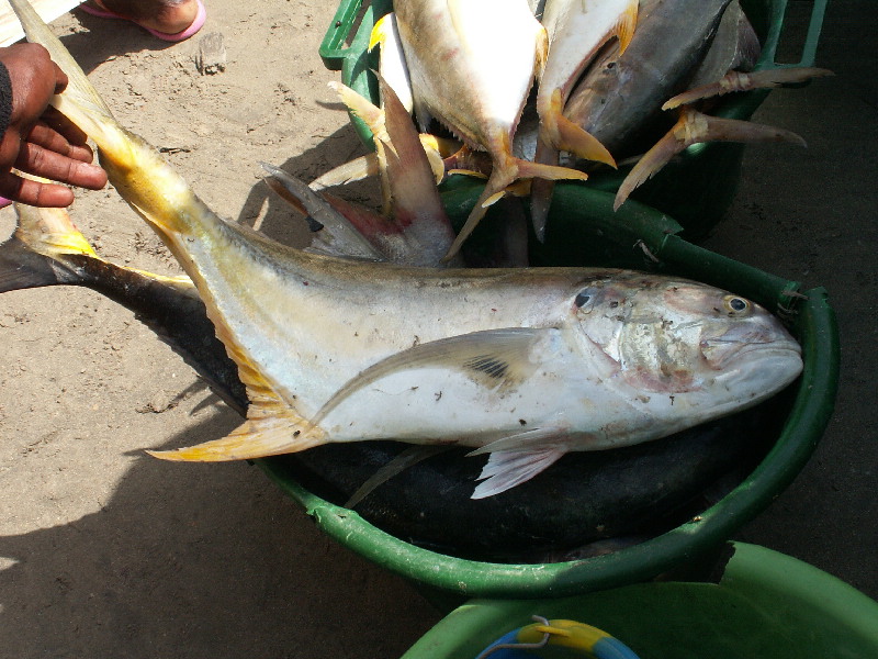 image93