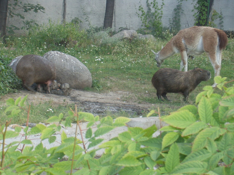 image14