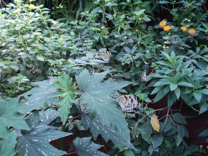 image15