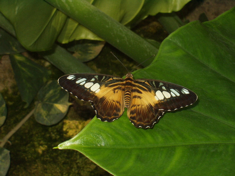 image3