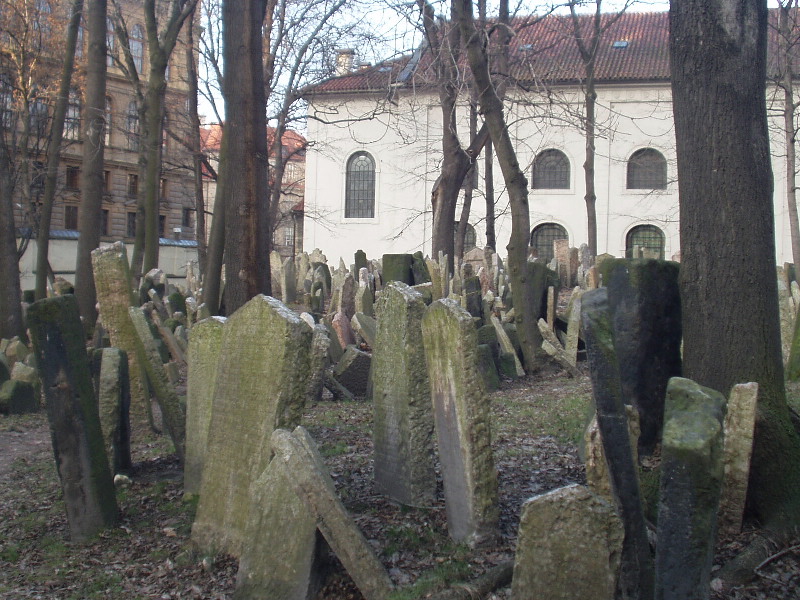 image6