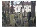 thumbnail6